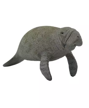 Ламантин - морская корова, L