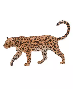 Леопард Африканский, XL