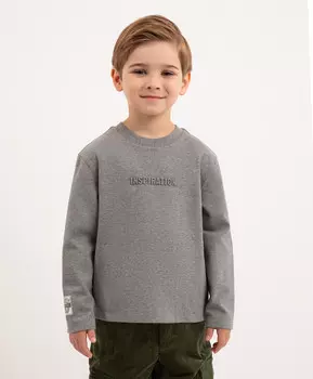 Лонгслив трикотажный с принтом серый для мальчика Roberto Moretti