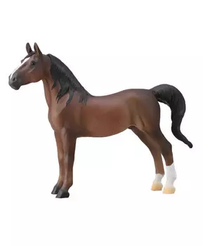 Лошадь Американский шорный жеребец, XL