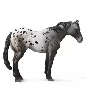 Лошадь Аппалузский голубой чалый, XL