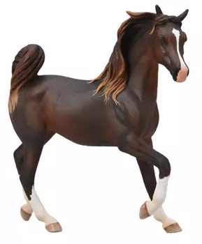 Лошадь Арабская кобыла каштановая, XL