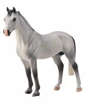 Лошадь Ганноверский жеребец пятнистый, XL