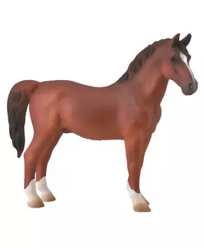 Лошадь Гнедой жеребец, XL