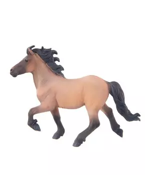 Лошадь Исландский жеребец, XL