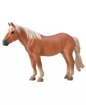 Лошадь Кобыла Норикер, XL