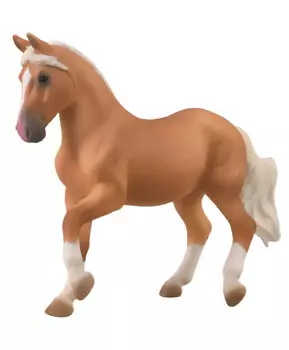 Лошадь кобыла Пасо-Фино, XL