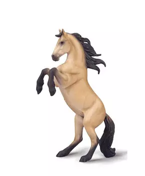 Лошадь кобыла скаковая Варландер буланая, XL