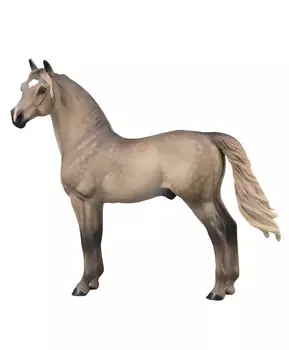 Лошадь Морган жеребец, XL