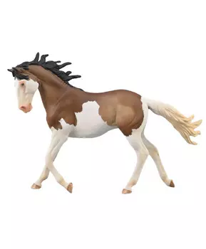 Лошадь Мустанг Кобыла, XL