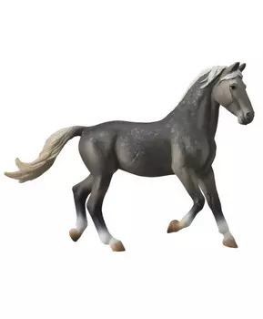 Лошадь Орловская кобыла, XL