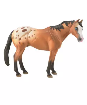 Лошадь Светло-коричневый жеребец Аппалузы, XL