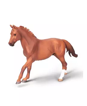 Лошадь жеребец породистый каштановый Фар Лап, XL