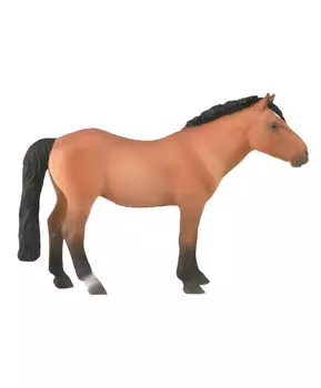 Монгольский жеребец, XL