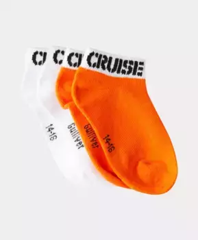 Носки 2 пары Gulliver (18-20)