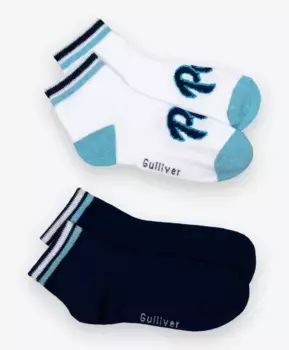 Носки 2 пары Gulliver (26-28)