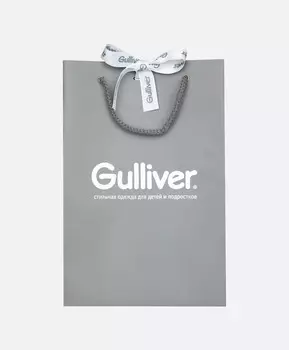 Пакет подарочный маленький Gulliver