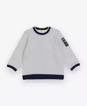 Серый свитшот с принтом Gulliver (80)