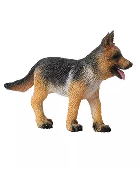 Щенок немецкой овчарки, S