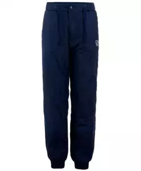 Синие демисезонные брюки Button Blue (158)