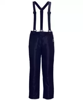 Синие утепленные зимние брюки Button Blue (98)