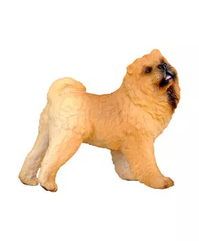 Собака Чау-чау, L