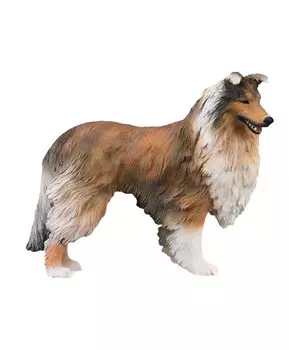 Собака Колли, L