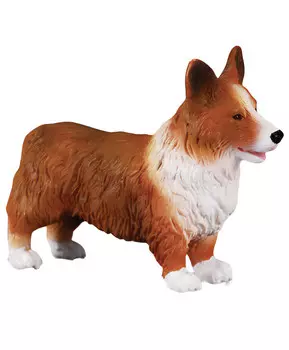 Собака Корги, M