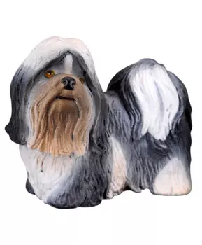 Собака Ши-тцу, M