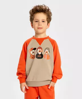 Свитшот с собачками оранжевый для мальчика Button Blue (116)