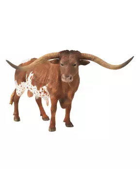 Техасский длиннорогий бык, XL