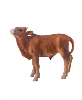 Телёнок Анколе-Ватуси, S