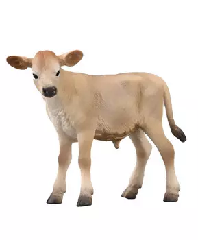 Телёнок Джерсейская, S