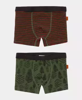 Трусы 2 пары зеленые Button Blue (110-116)