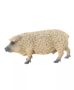 Венгерская свинка, M