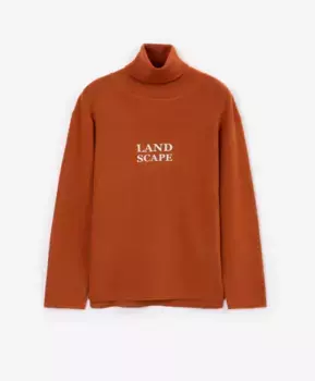 Водолазка вязаная медного цвета Gulliver (152)