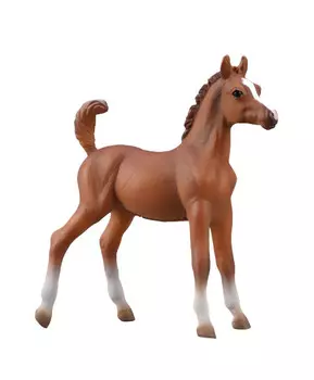Жеребенок лошади Арабской - каштановый, M
