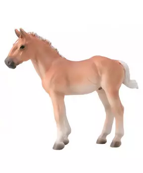 Жеребенок лошади Норикер, M