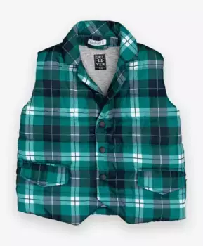 Жилет в клетку Gulliver (80)