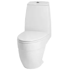 Am Pm Bliss L C538607SC унитаз - компакт