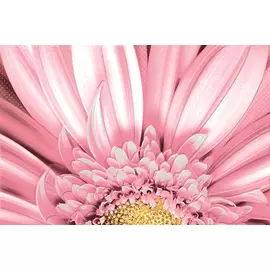 Aster Декор (AE2N451DT) 30x45