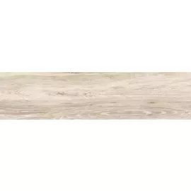 BG 00 15x60 неполир