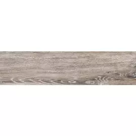 BG 03 15x60 неполир