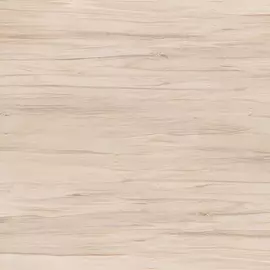 Botanica глаз. керамогранит коричневый (C-BN4R112D) 42x42