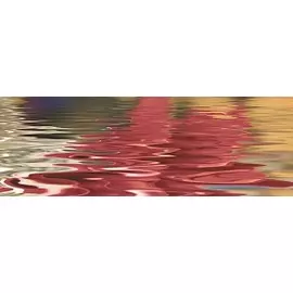 Brazil Cenefa Flowers 6 Декор 250х730 мм