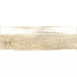 Colorwood глаз, керамогранит многоцветный (C-CL4M452D) 18,5x59,8