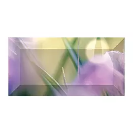 Crocus Бордюр рельефный br1020D286-1 20х10