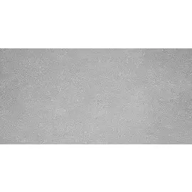 Дайсен Керамогранит светло-серый SG211200R / SG207900R 30х60 9мм (Орел)