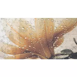 Dec Ocean Crema A Декор 32,5x60