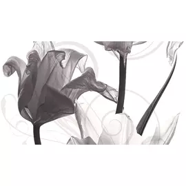 Dec Pulsar Panno B КПН16PulsarB 25х45